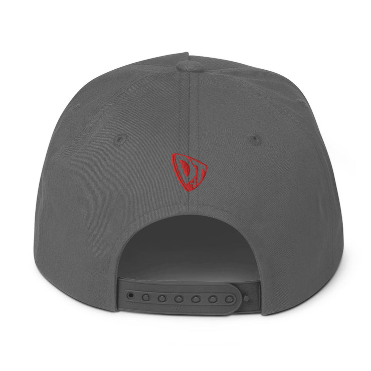 Publicly Private DT4: Flat Brim Cap